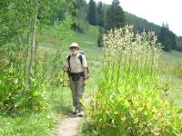 Jim walking through corn lilies